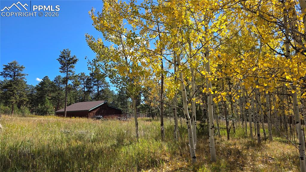 210 Bridlewood Lane Woodland Park CO 80863