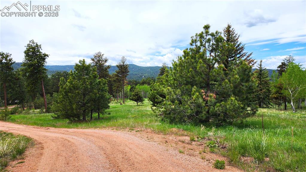 210 Bridlewood Lane Woodland Park CO 80863