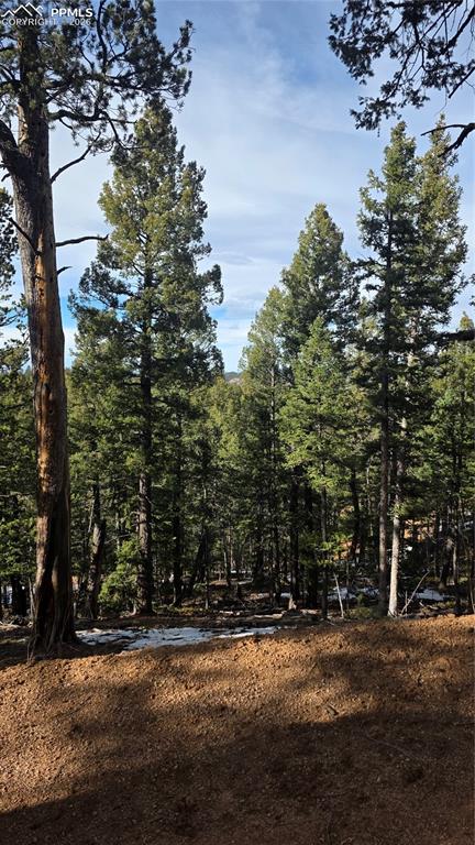 321 Tillicum Trail Woodland Park CO 80863