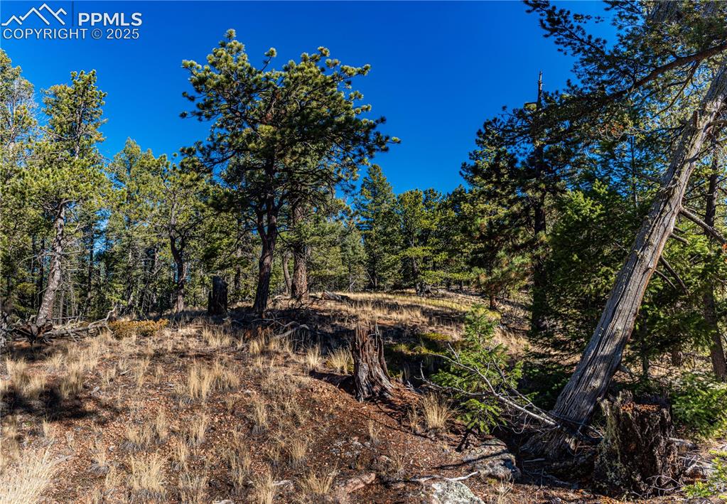 Tbd Arrowhead Road Florissant CO 80816