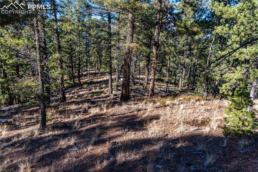 Tbd Arrowhead Road Florissant CO 80816
