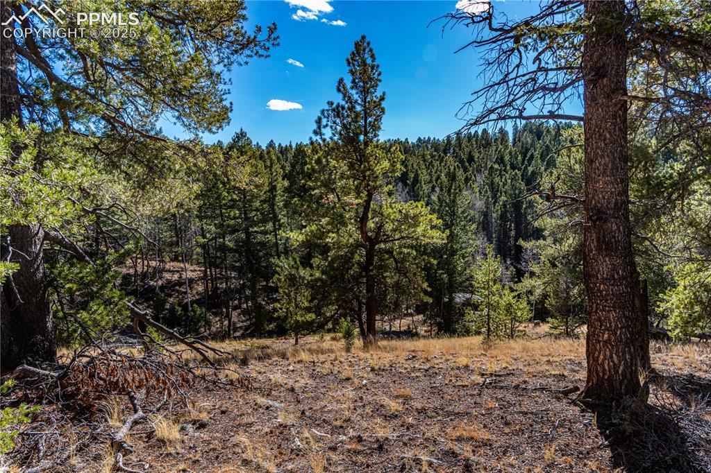 Tbd Arrowhead Road Florissant CO 80816