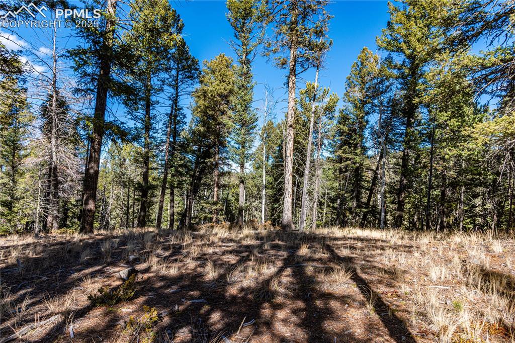 Tbd Arrowhead Road Florissant CO 80816