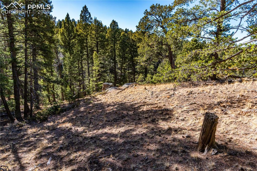 Tbd Arrowhead Road Florissant CO 80816