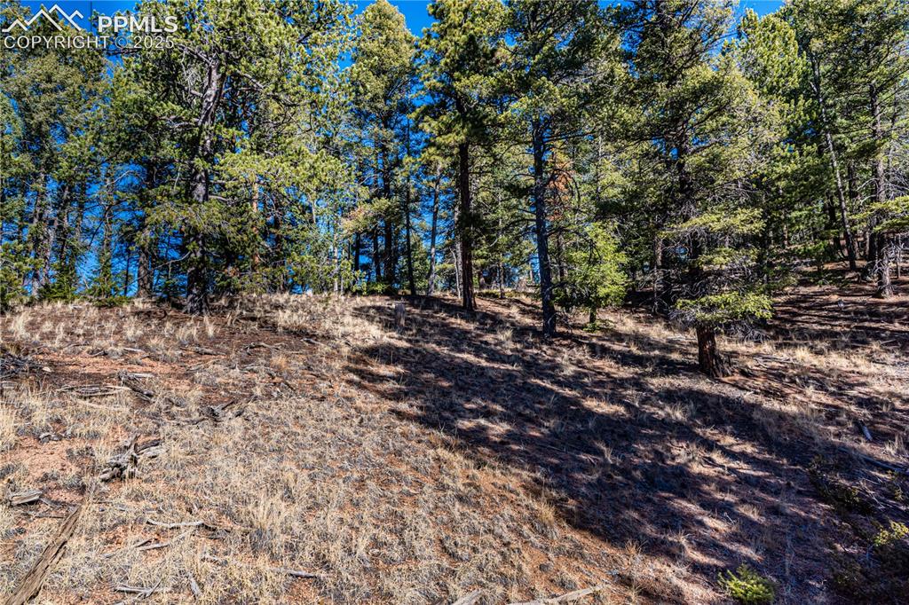 Tbd Arrowhead Road Florissant CO 80816