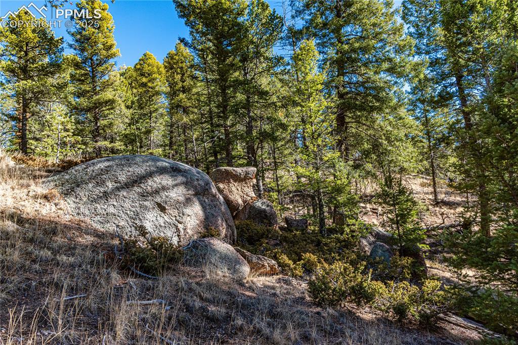Tbd Arrowhead Road Florissant CO 80816