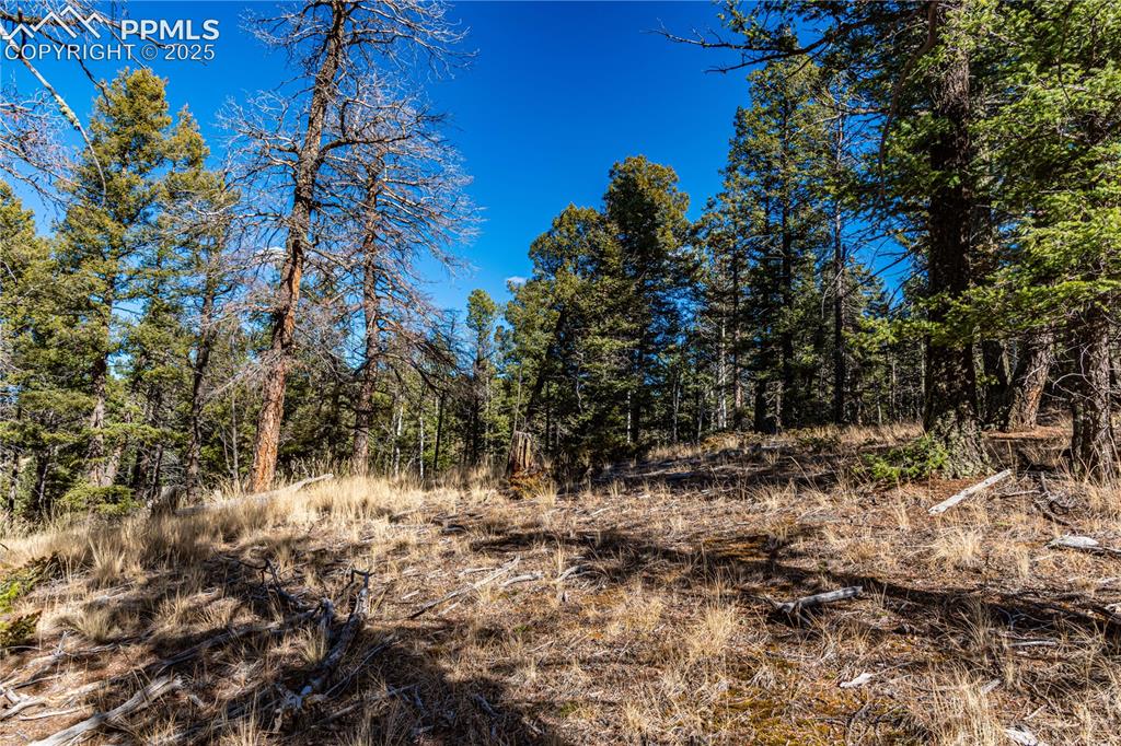 Tbd Arrowhead Road Florissant CO 80816