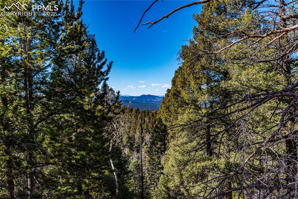 Tbd Arrowhead Road Florissant CO 80816