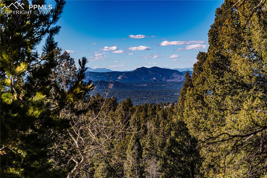 Tbd Arrowhead Road Florissant CO 80816