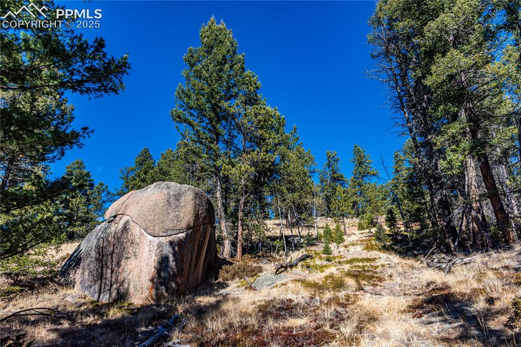 Tbd Arrowhead Road Florissant CO 80816