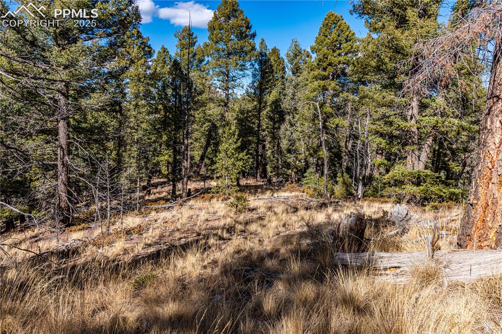 Tbd Arrowhead Road Florissant CO 80816