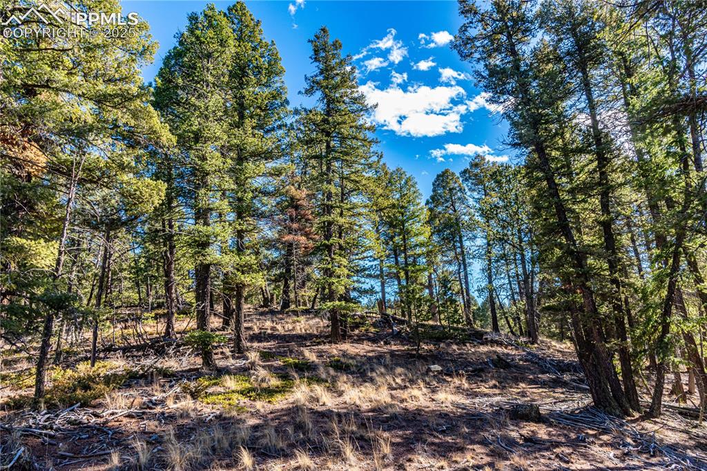 Tbd Arrowhead Road Florissant CO 80816