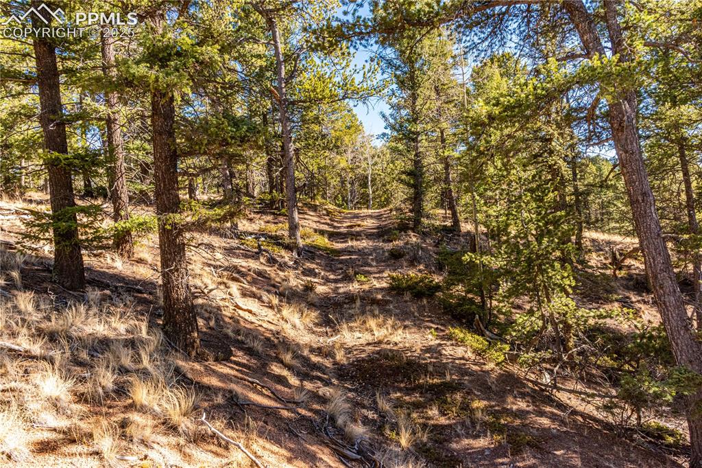 Tbd Arrowhead Road Florissant CO 80816