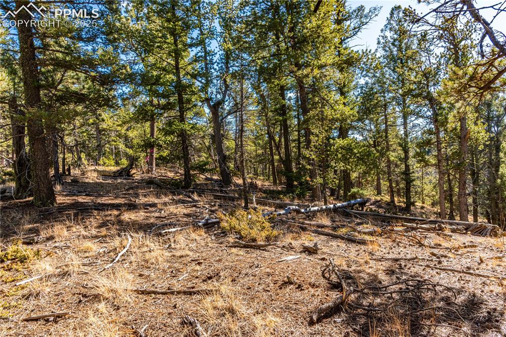 Tbd Arrowhead Road Florissant CO 80816