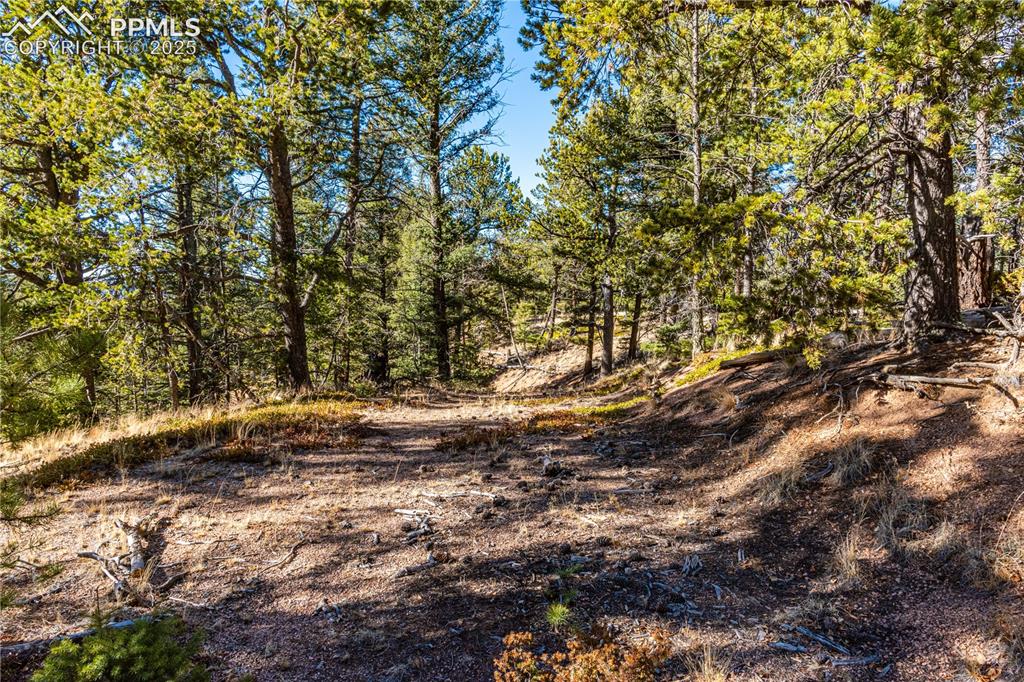 Tbd Arrowhead Road Florissant CO 80816