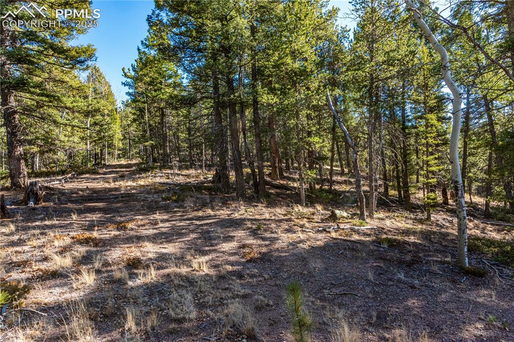 Tbd Arrowhead Road Florissant CO 80816