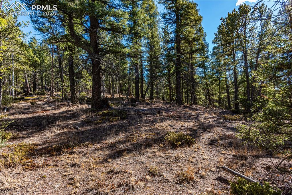 Tbd Arrowhead Road Florissant CO 80816