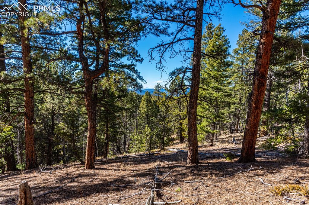 Tbd Arrowhead Road Florissant CO 80816