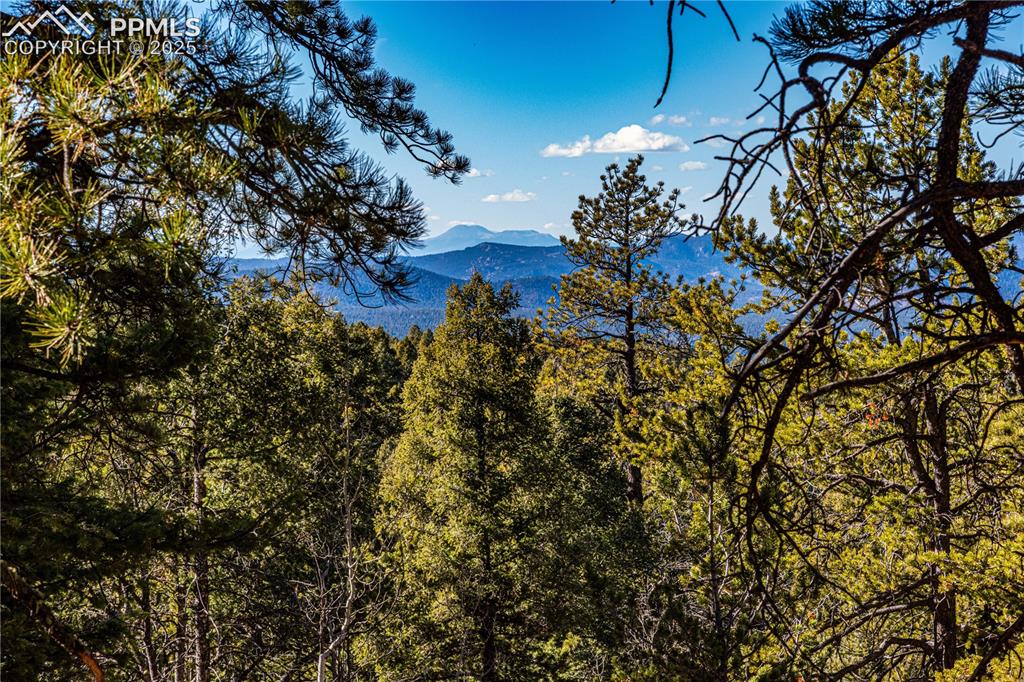 Tbd Arrowhead Road Florissant CO 80816