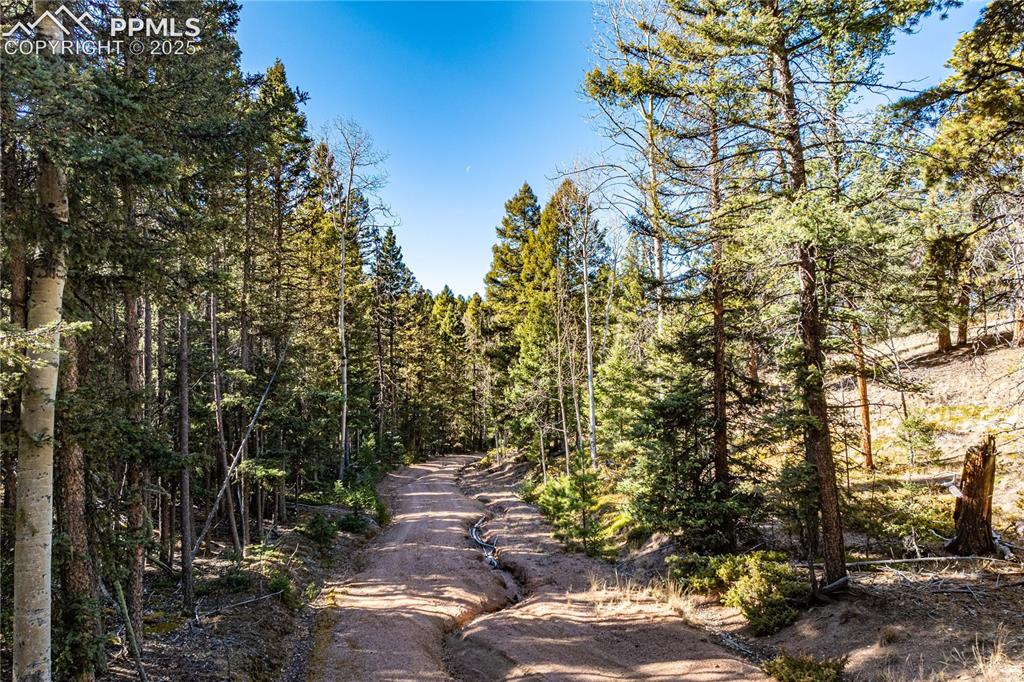 Tbd Arrowhead Road Florissant CO 80816