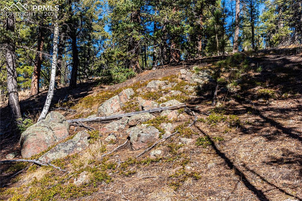 Tbd Arrowhead Road Florissant CO 80816