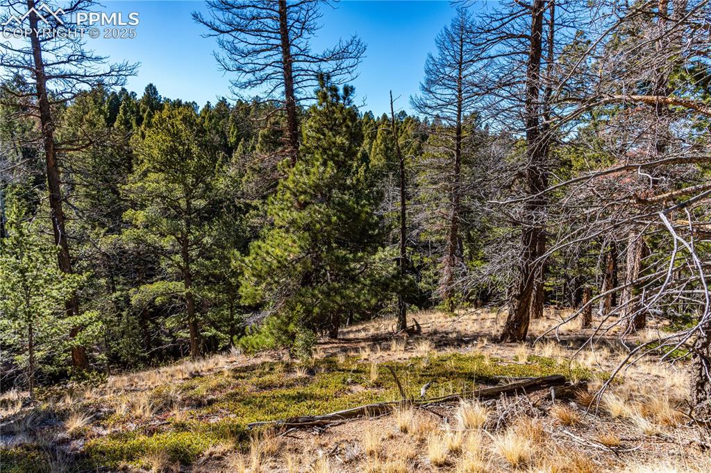 Tbd Arrowhead Road Florissant CO 80816
