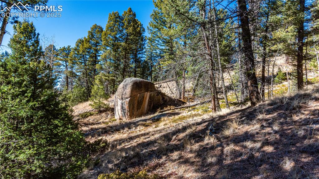 Tbd Arrowhead Road Florissant CO 80816