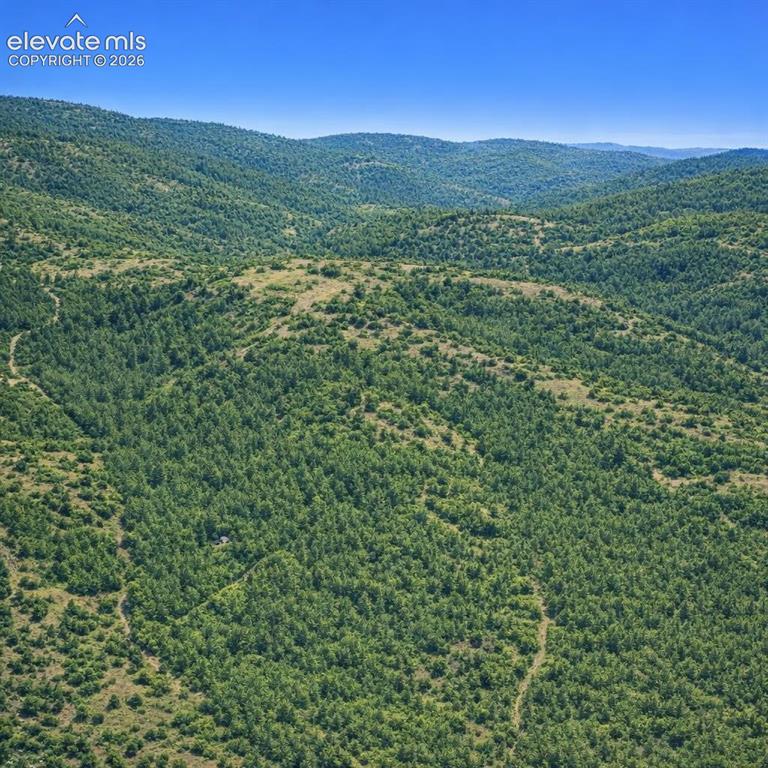 Tbd Arrowhead Road Florissant CO 80816