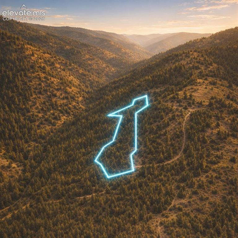 Tbd Arrowhead Road Florissant CO 80816