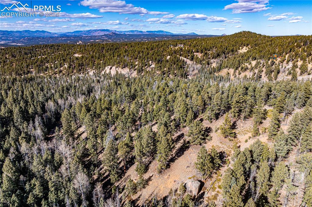 Tbd Arrowhead Road Florissant CO 80816