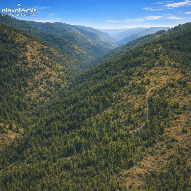 Tbd Arrowhead Road Florissant CO 80816