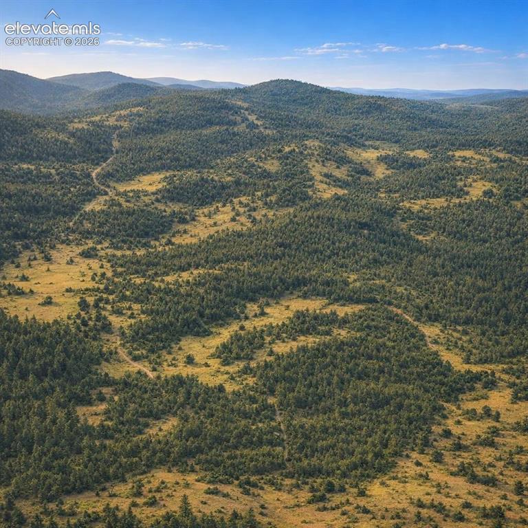 Tbd Arrowhead Road Florissant CO 80816