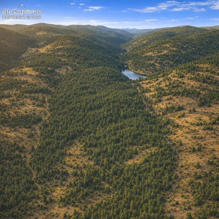 Tbd Arrowhead Road Florissant CO 80816