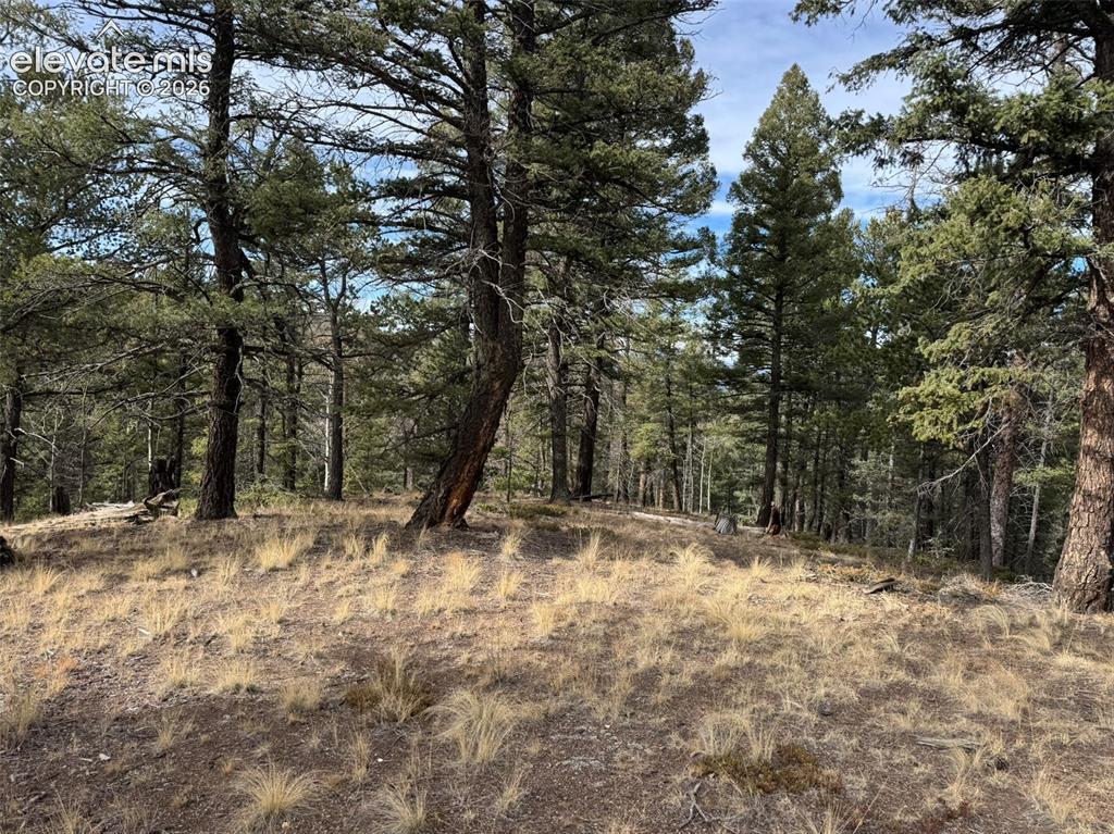 Tbd Arrowhead Road Florissant CO 80816