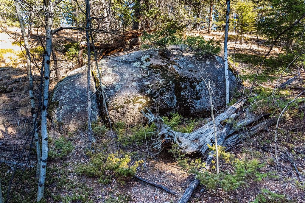 Tbd Arrowhead Road Florissant CO 80816