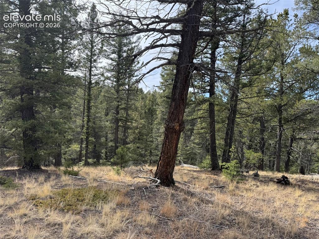 Tbd Arrowhead Road Florissant CO 80816