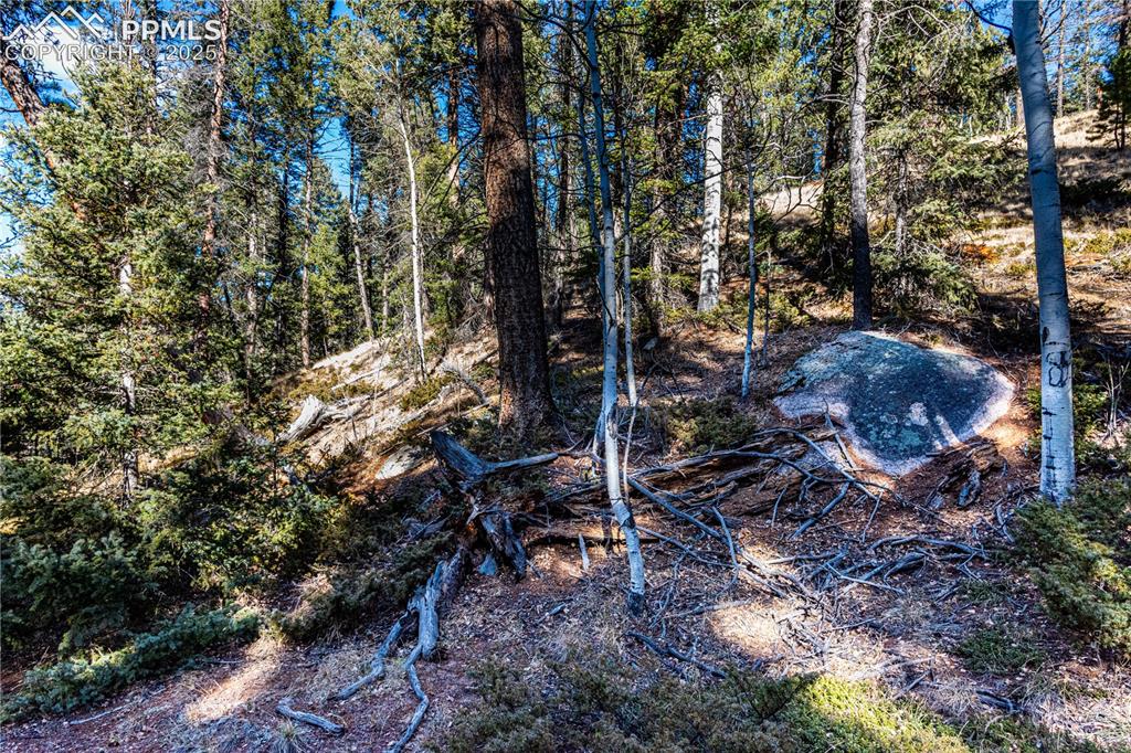 Tbd Arrowhead Road Florissant CO 80816