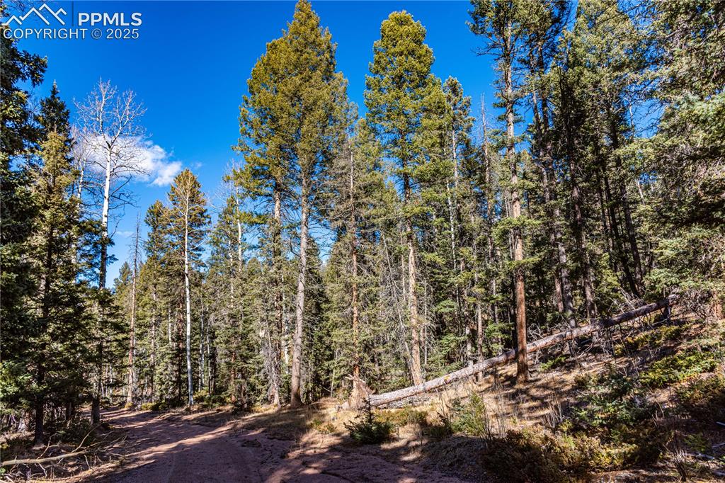 Tbd Arrowhead Road Florissant CO 80816