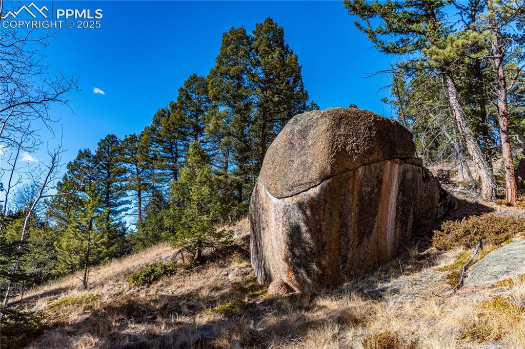 Tbd Arrowhead Road Florissant CO 80816