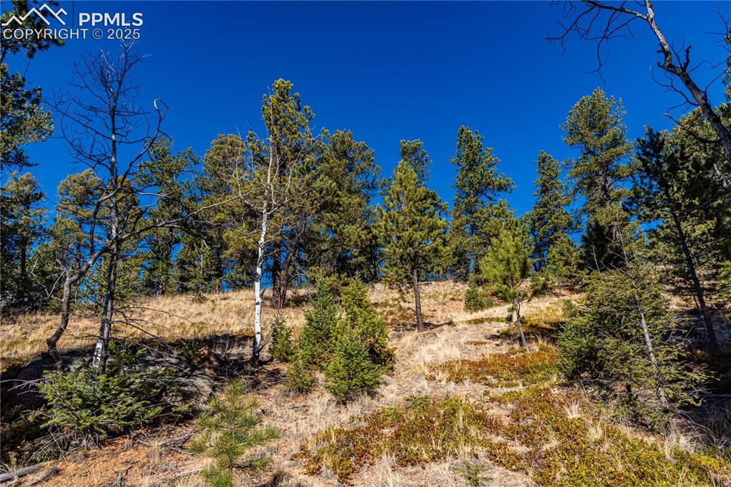Tbd Arrowhead Road Florissant CO 80816