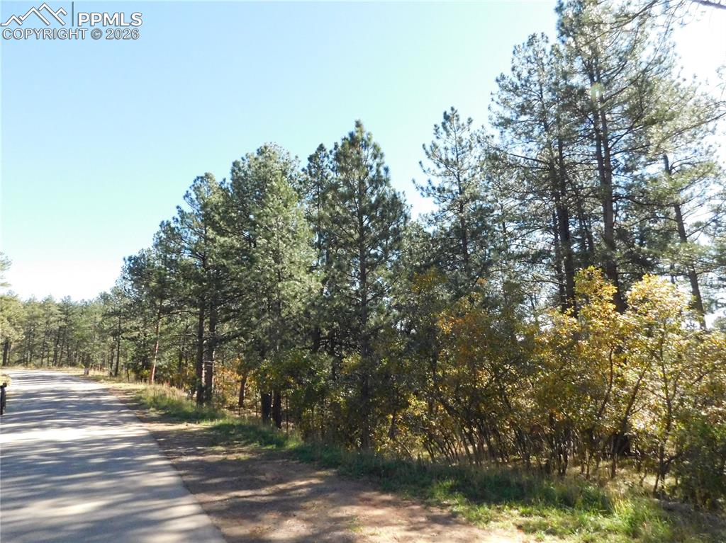 682 Copper Fox Place Larkspur CO 80118