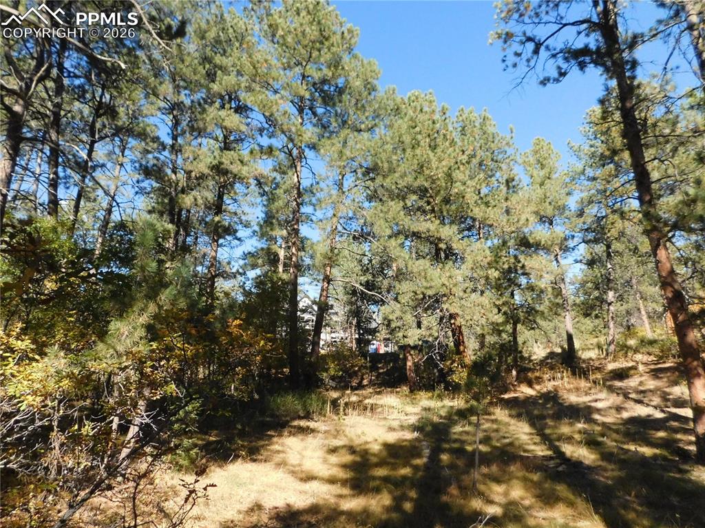 682 Copper Fox Place Larkspur CO 80118