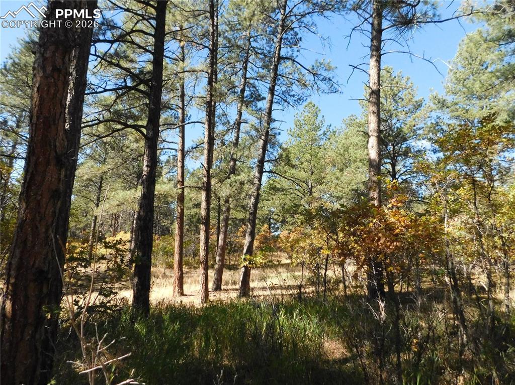 682 Copper Fox Place Larkspur CO 80118