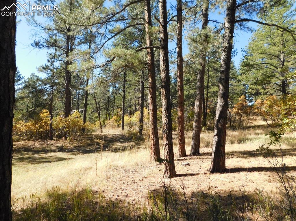 682 Copper Fox Place Larkspur CO 80118