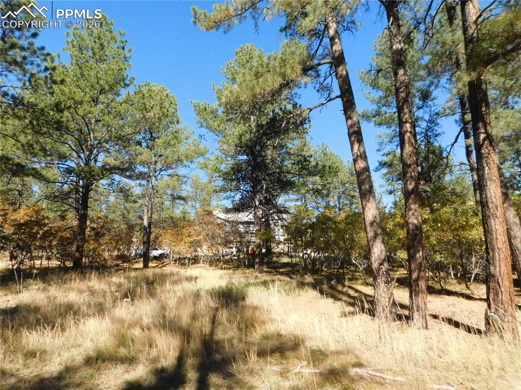 682 Copper Fox Place Larkspur CO 80118