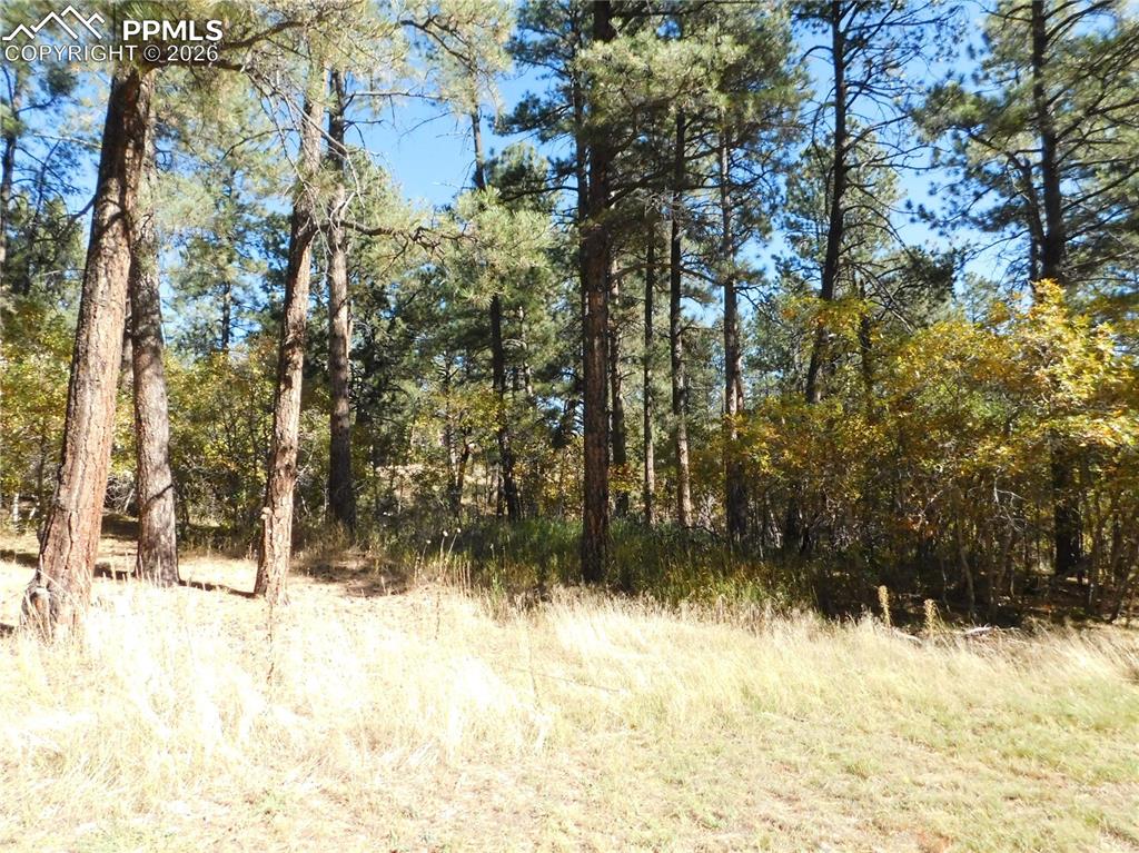 682 Copper Fox Place Larkspur CO 80118