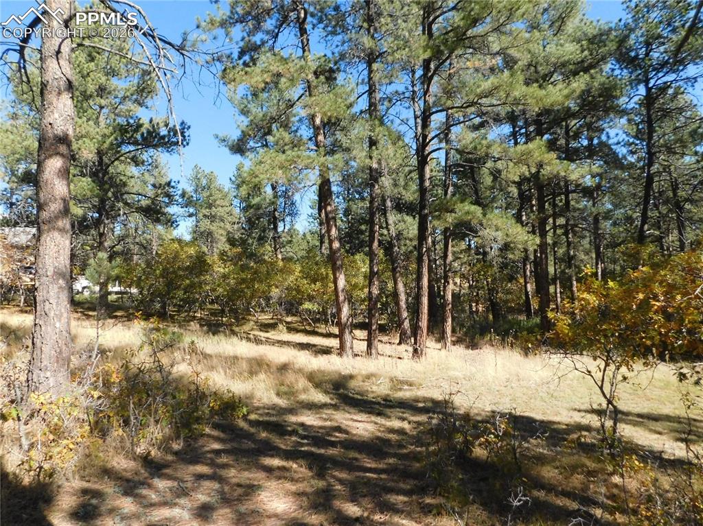 682 Copper Fox Place Larkspur CO 80118