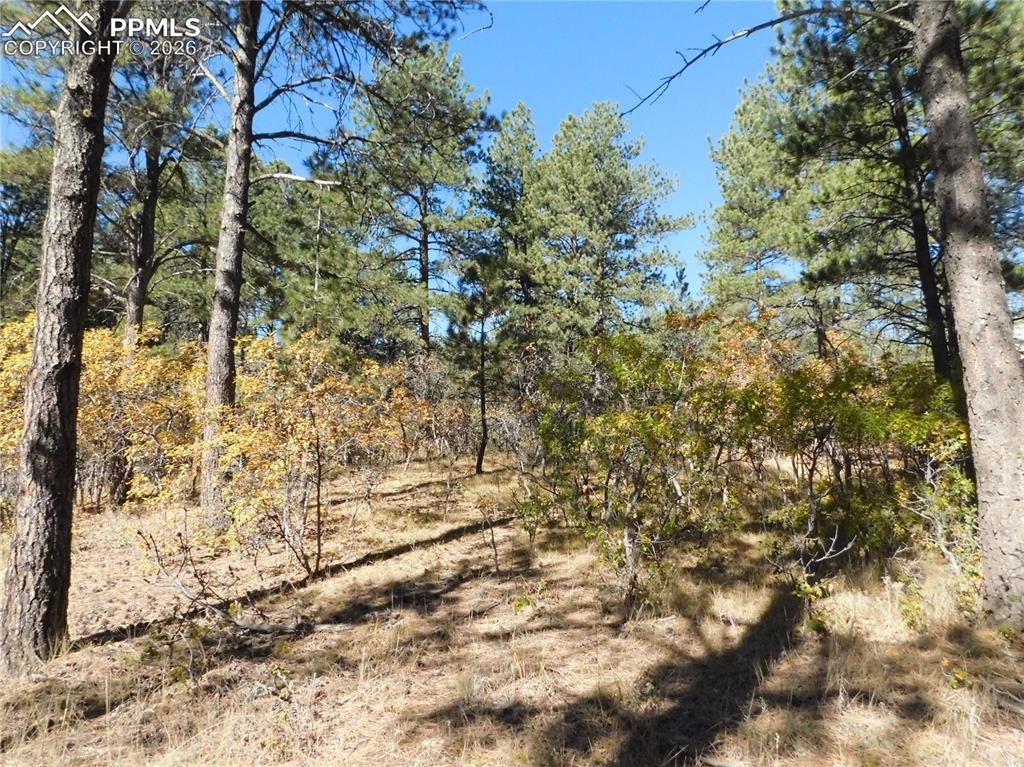 682 Copper Fox Place Larkspur CO 80118