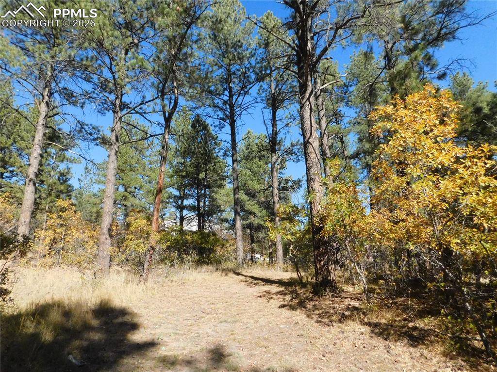 682 Copper Fox Place Larkspur CO 80118
