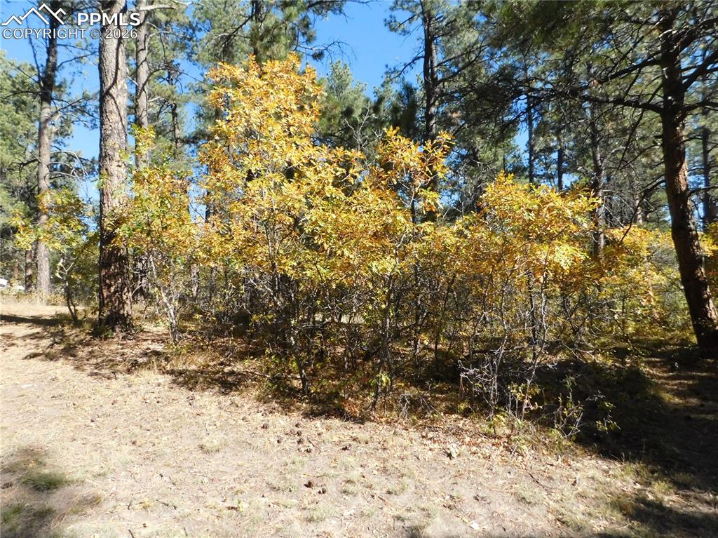 682 Copper Fox Place Larkspur CO 80118